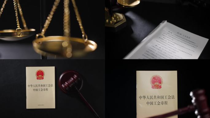 中国工会章程国家工会法维护职工的合法权益