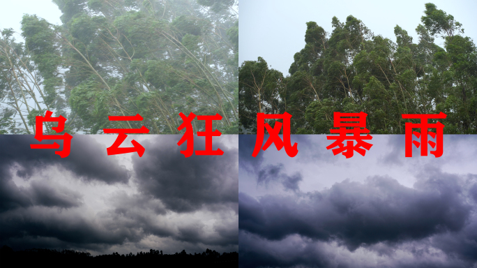 台风天乌云闪电森林狂风暴雨大风吹树林雨天