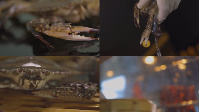 新鲜螃蟹 飞蟹海蟹 清蒸梭子蟹螃蟹