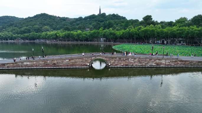 杭州西湖夏季雷峰塔断桥苏堤等航拍视频02