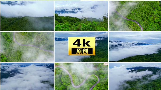 雨过天晴云雾森林云海树林航拍森林雨天森林