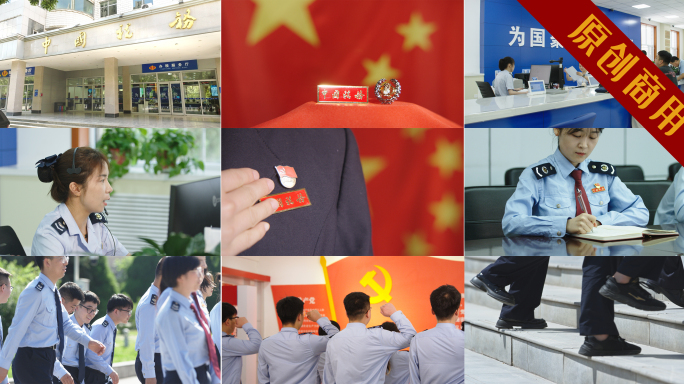 4K加长中国税务 税徽 税务元素