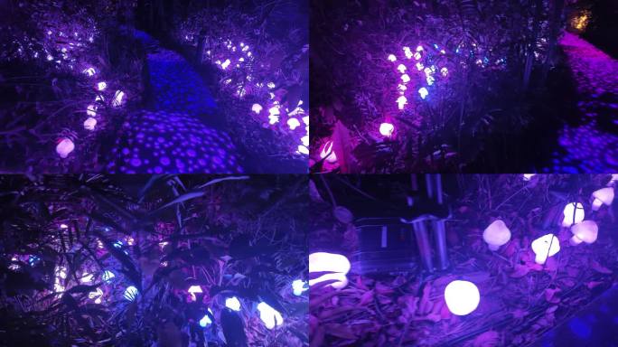 魔幻森林夜游：梦幻蘑菇灯光效果