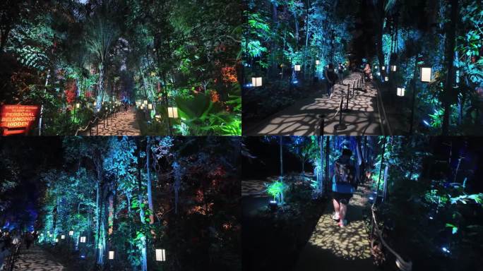 魔幻森林的灯光步道与光影奇境