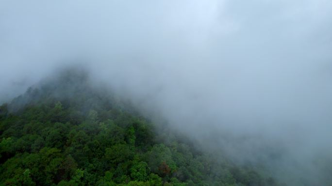 云南大山穿云雾松树森林航拍