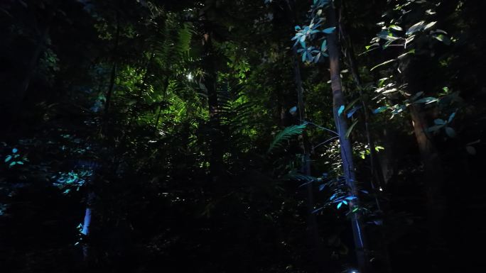 魔幻森林夜游：狼群的光影效果展示