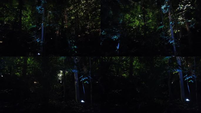 魔幻森林夜游：狼群的光影效果展示