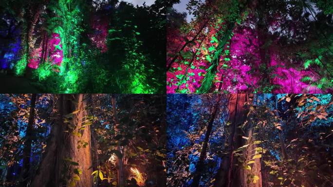 魔幻森林夜游：树木上的呼吸灯光影秀
