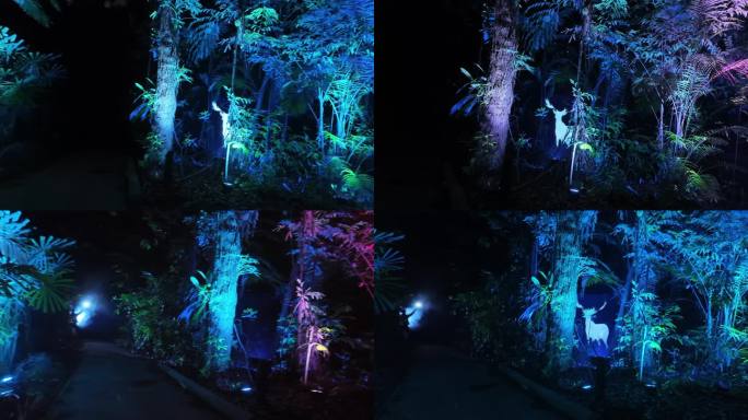 魔幻森林夜游：迷人光影场景体验