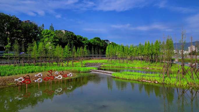 水上公园湿地公园同心水岸景观溪流石步树林