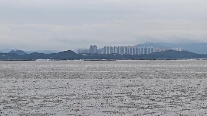 阴天深圳湾公园海边灯塔对岸香港风景