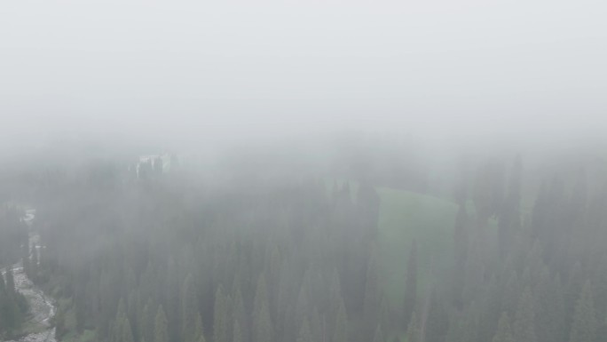 新疆森林云雾绝美航拍