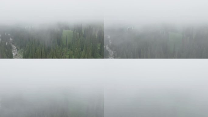 新疆森林云雾绝美航拍