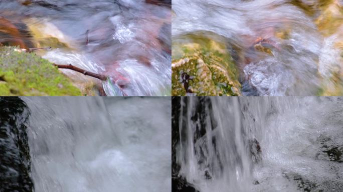 杭州植物园小溪流水风景视频素材440