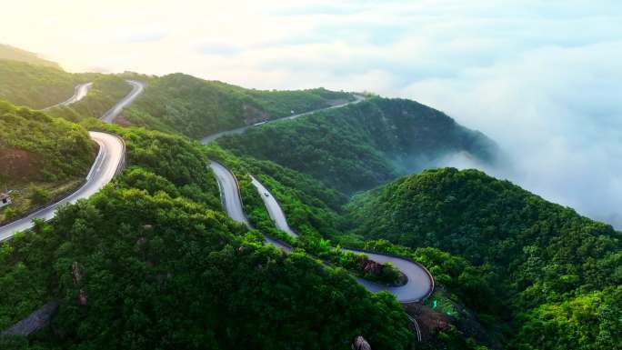 清晨云雾森林盘山公路