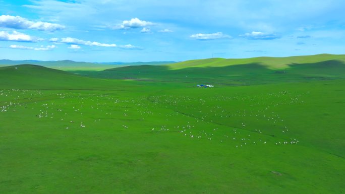 草原航拍穿越大草原