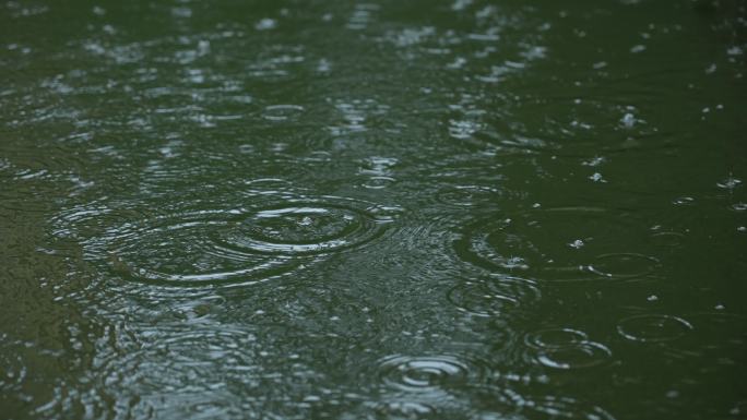 【原创正版素材】雨天下雨雨滴天气