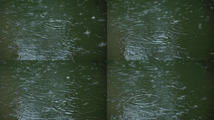 【原创正版素材】雨天下雨雨滴天气