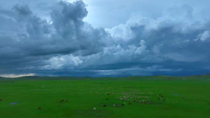 风雨中的大草原