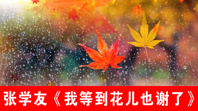 我等到花儿也谢了-张学友（声画同步）