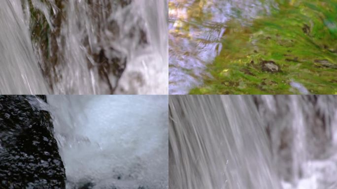 杭州植物园小溪流水风景视频素材449