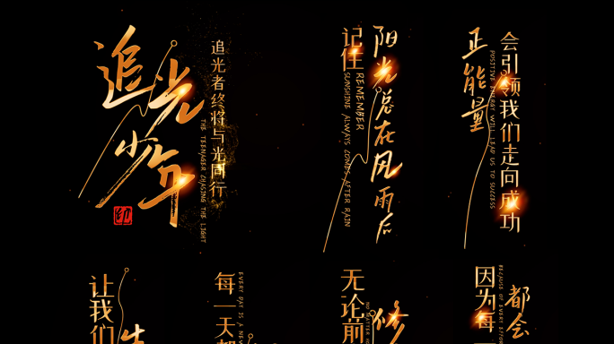 竖版竖条黑底金字浪漫抒情文字动画AE模板