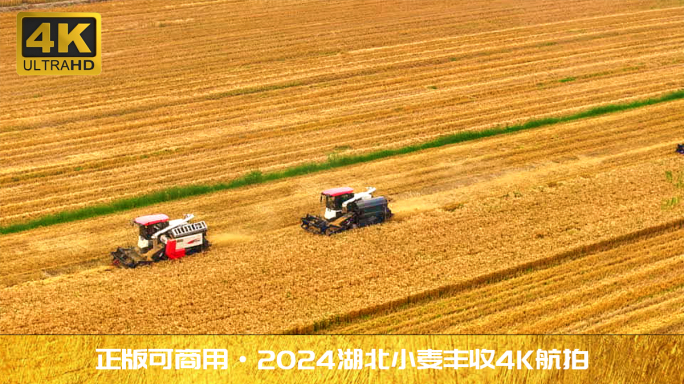 万亩小麦地现代农业联合收割机