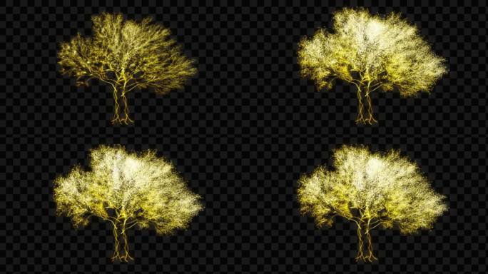 金色水晶发光树生长动画-带透明通道