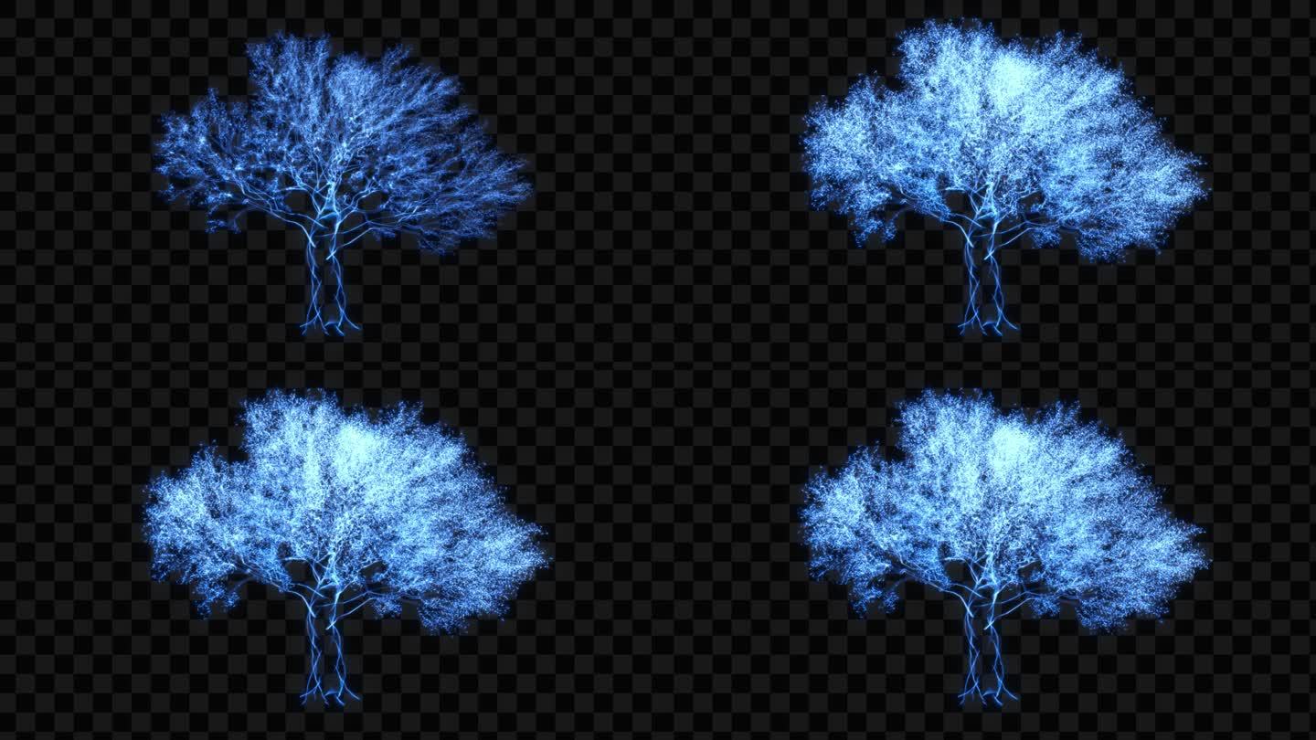 蓝色水晶发光树生长动画-带透明通道