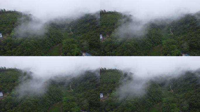 雨中村庄【长阳大堰】