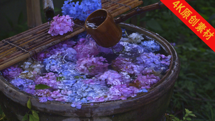 唯美绣球花意境诗意画境花园