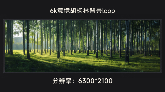 6k意境胡杨林背景loop