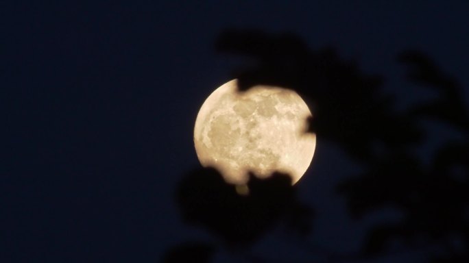 月夜 月色 月光4K
