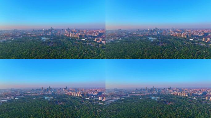 中国辽宁沈阳北陵公园生态城市摩天大楼