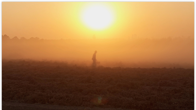 农民收割黄昏剪影