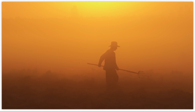 农民收割黄昏剪影