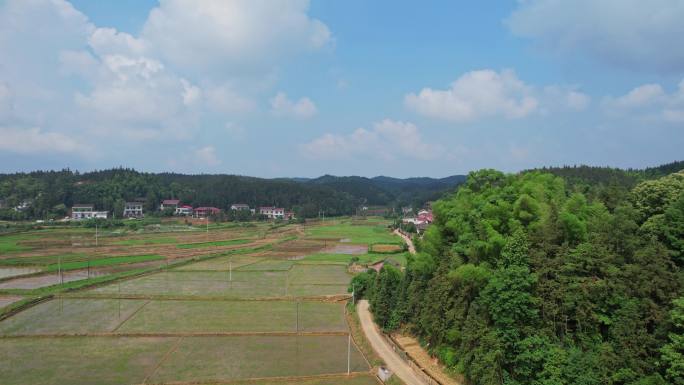 乡村风景