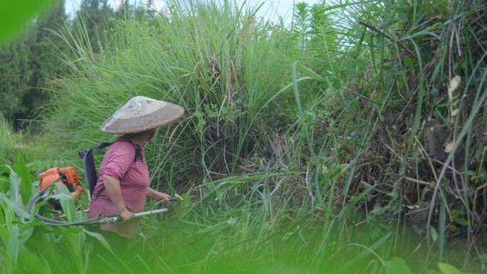 机械割草