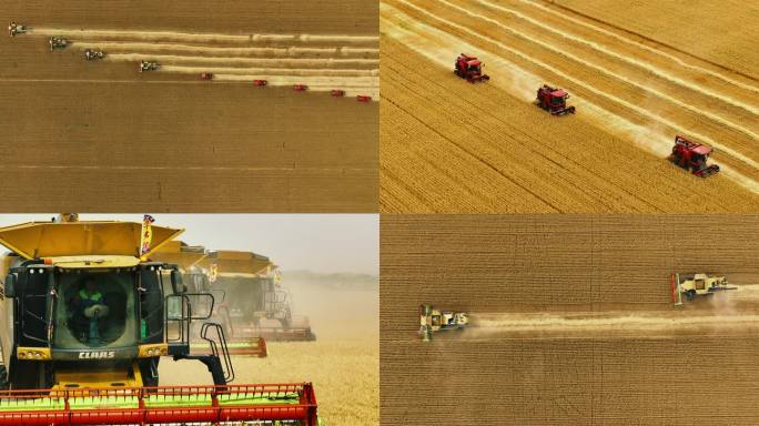 大型收割机在平原收割小麦