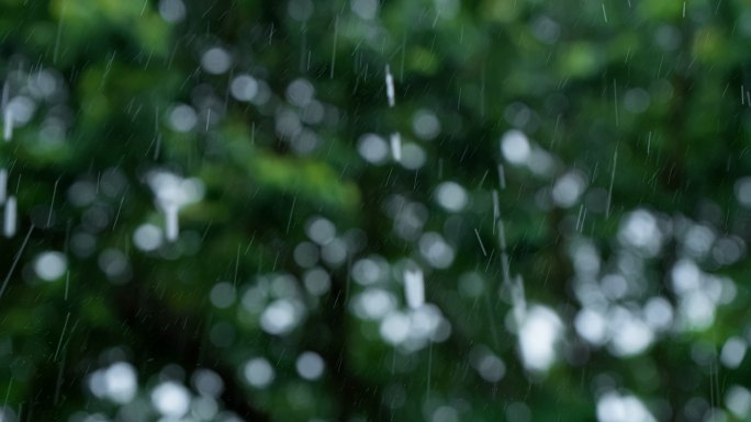 暴雨中绿色树叶背景下雨丝雨线雨滴特写慢镜