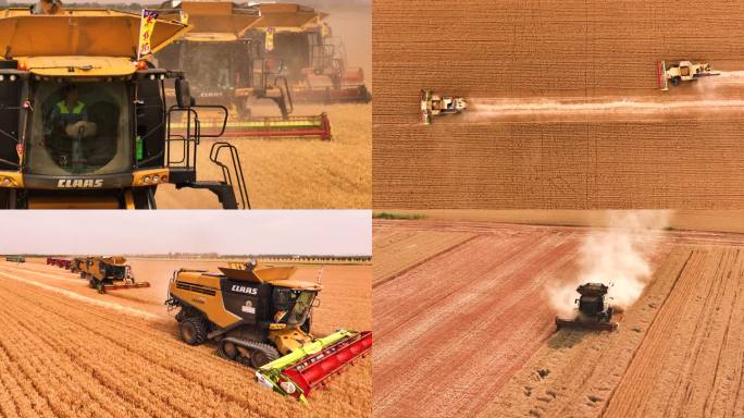 现代化农业机械化大规模收割小麦