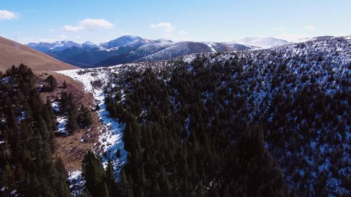 2K 川西雪山森林公路