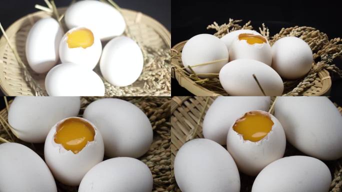 蛋类鸡蛋鸭蛋鹅蛋蛋黄蛋液蛋