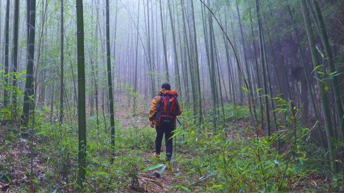 徒步竹林 探索寻觅 体验户外风光感受山海