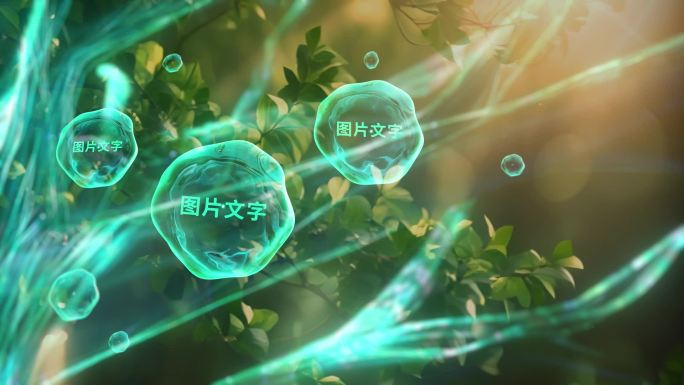 粒子发光树生长水珠照片展示
