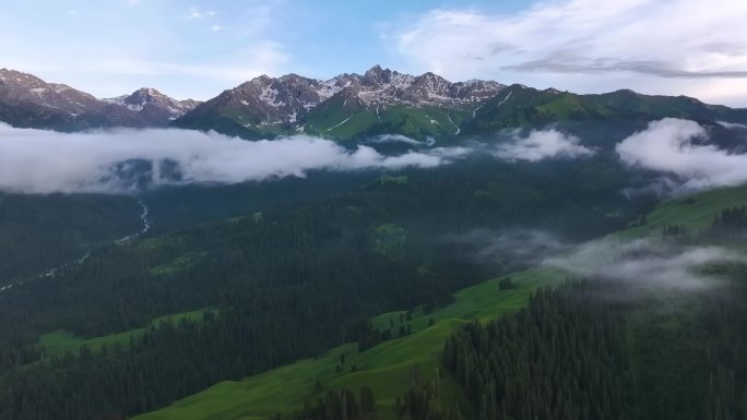 航拍新疆雪山草地