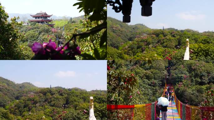 索玛桥 步行栈道 旅游栈道 彩色桥