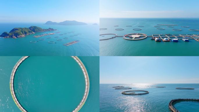 海洋牧场   深海养殖