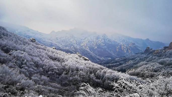 林海雪原