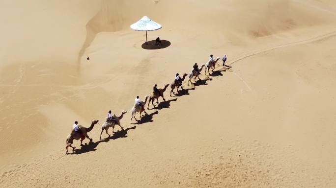 内蒙沙漠航拍骑骆驼航拍银肯塔拉